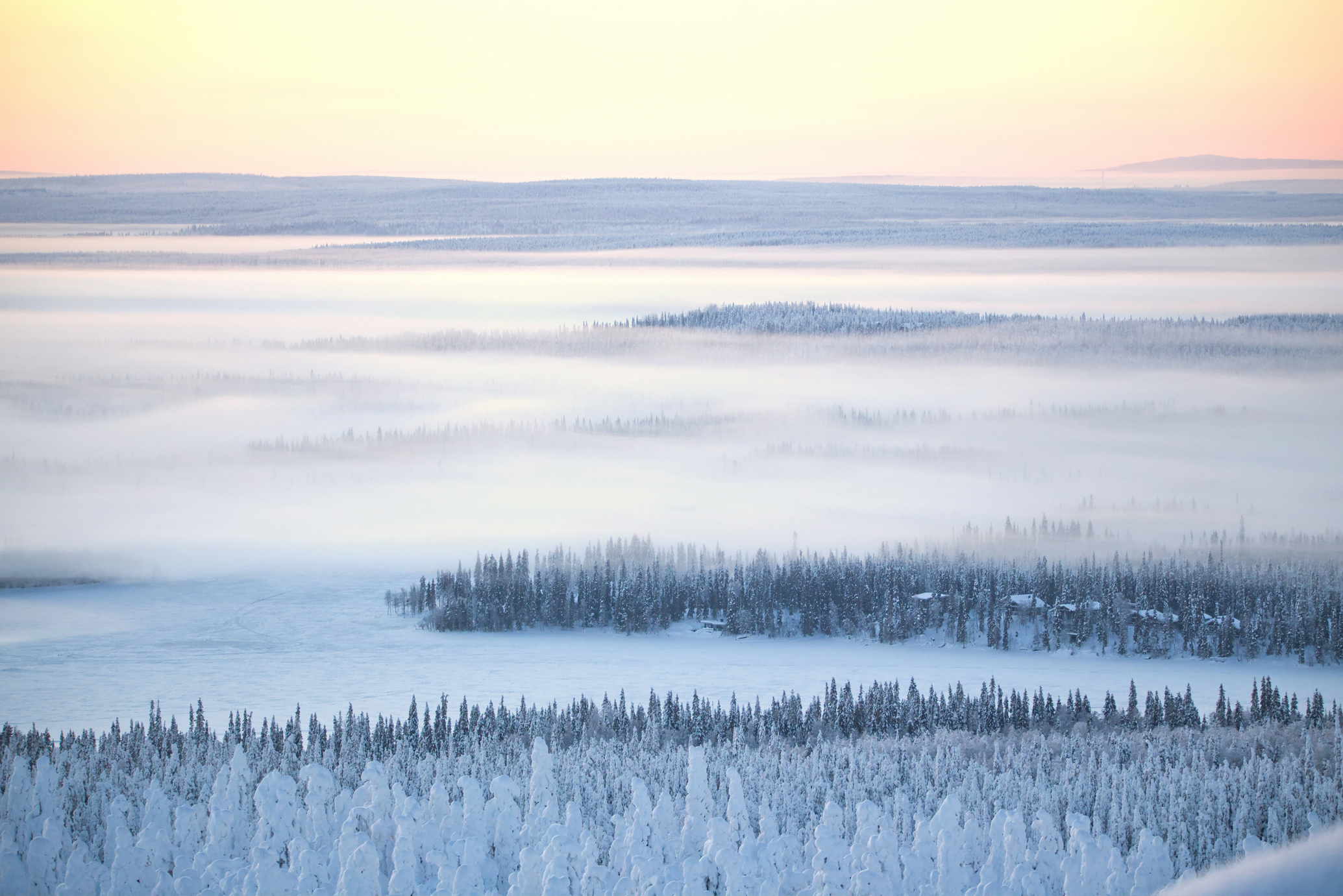 natur vinter