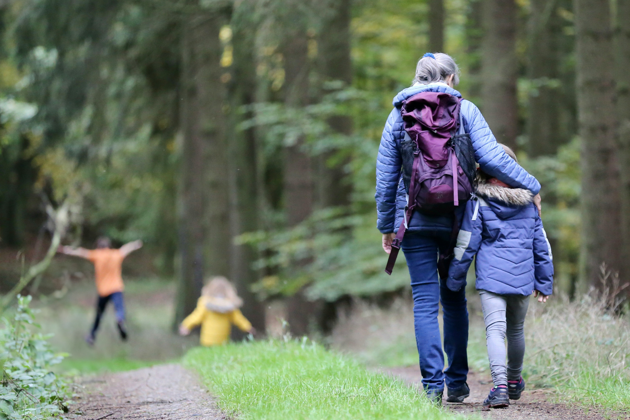 familj promenerar i skog